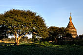 Old Bagan Myanmar. Group of monuments on the NW corner of the old city. the So Hla Waing pagoda. 